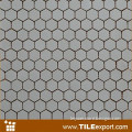 Custom Design Mosaic / Hexagonal Ceramic Mosaic (ZLZL-001_1)